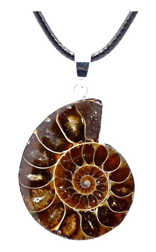 Collar Fósil Ammonite Piedra Natural Autentico Hombre Mujer
