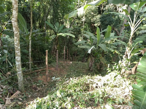 Imagem 9 de 11 de Terreno Com Casa D Catarina Km 68.5