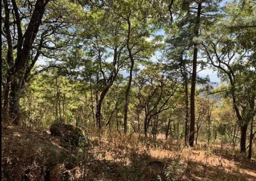 Imagen 2 de 7 de Terreno Campestre