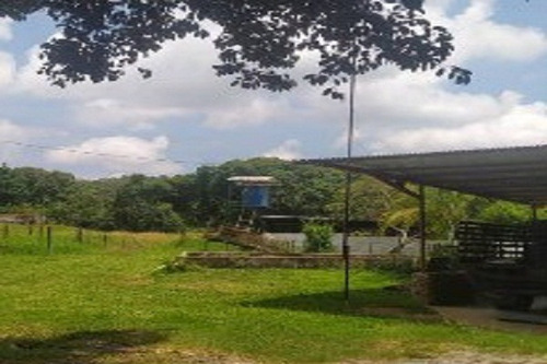 Imagen 9 de 12 de Aa Asein1731 Vende Excelente Finca En El Sector Las Manzanita En Tinaquillo Edo. Cojedes.