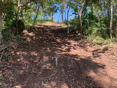 Imagem 10 de 29 de Ln- Terreno Proximo A Represa