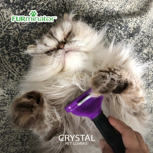 Imagen 4 de 8 de Furminator Cepillo Pelo Corto M/l Gato Mediano Grande