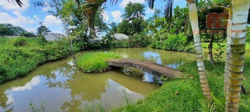 Imagem 10 de 28 de Chácara Com 3 Dormitórios À Venda, 7790 M² Por R$ 700.000,00 - Bambu - Peruíbe/sp - Ch0157