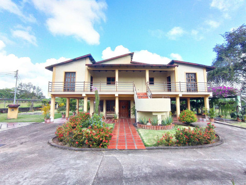 Imagen 9 de 18 de Se Vende Finca Av Cruz Peraza Maturin Ve01-1293cp-mamot