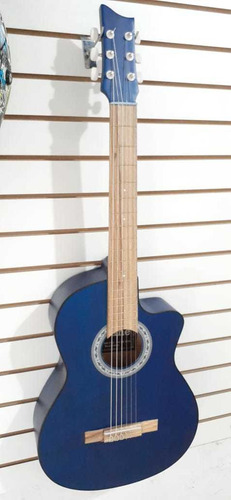 Guitarra Acústica Clásica+ Forro+ Método Pick+envío Gratis