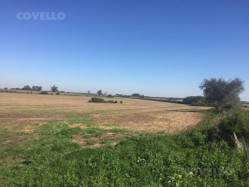Imagen 6 de 11 de Campo En Martin Chico, Buena Tierra Productiva, Zona En Desarrollo