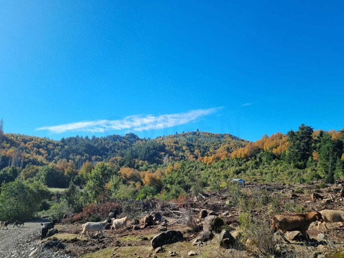 Tranquila Parcela 0,5ha Tranquilidad (92297)