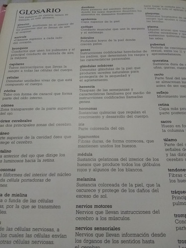 Cómo Funciona Nuestro Cuerpo De S. Parker (1992) - Martínez (Usado)