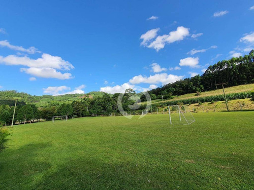 Chácara À Venda, 397000 M² - Linha Cristo Rei - Morro Reuter/rs - Ch0018
