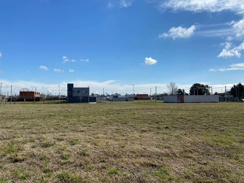 Imagen 6 de 10 de Lotes En Venta En Nuevo Lorenzo.