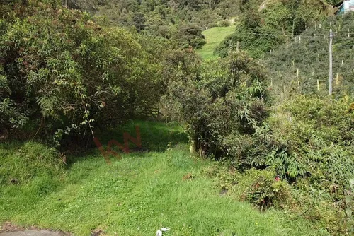 Terreno Para Inversión En El Alto Del Vino. 3.6 Fanegadas-7622 (7622).