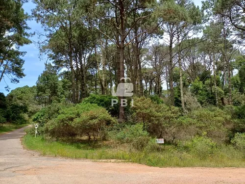 Terreno, Venta, Club Del Lago - Ref : Pbi14201