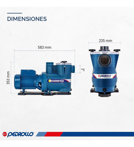 Bomba Autocebante Piscina Pedrollo Magnifica 2m. 1 Hp
