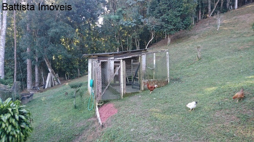 Imagem 30 de 30 de Chacara - 1653 - 34237545