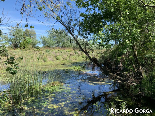 Venta Chacra Terreno Campo Canelones Villa Guadalupe Ruta 5