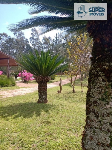 Imagem 26 de 30 de Chácara A Venda No Bairro Centro Em Morro Redondo - Rs. - 1699-1