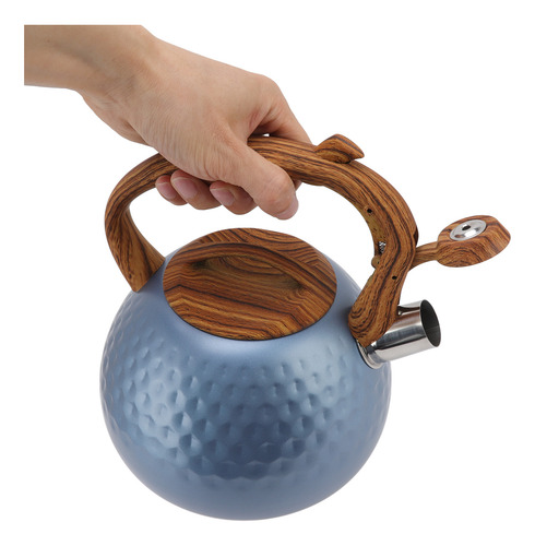 Tetera Whistling De Acero Inoxidable De 3 Litros