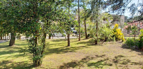 Imagen 4 de 10 de Terreno En Venta Para Desarrollo Hotelero Pinamar