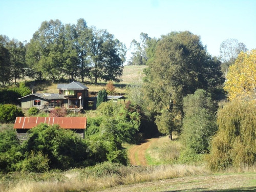 Campo Con Casa 150 Ha Aprox. A 11 Km. Osorno $ 2.247.000