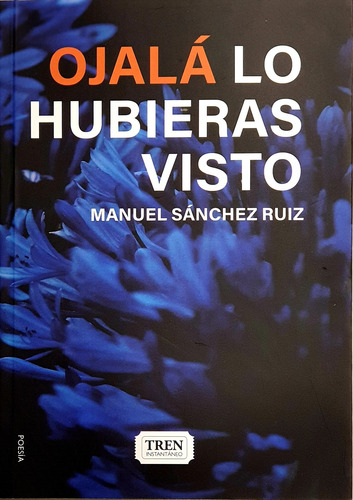 Ojalá Lo Hubieras Visto - Manuel Sanchez Ruiz