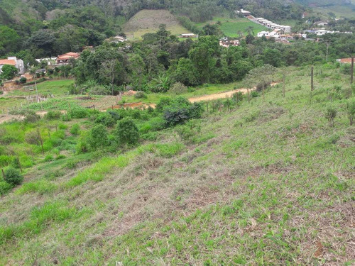 Imagem 5 de 10 de Chacara - Paraiso - Ref: 4980 - V-anp4980