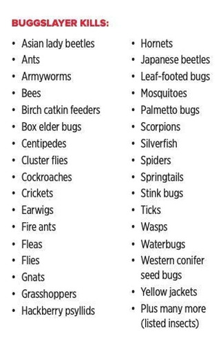 Buggslayer Cama Bug Asesino | Listo Para Usar Insecticida 32