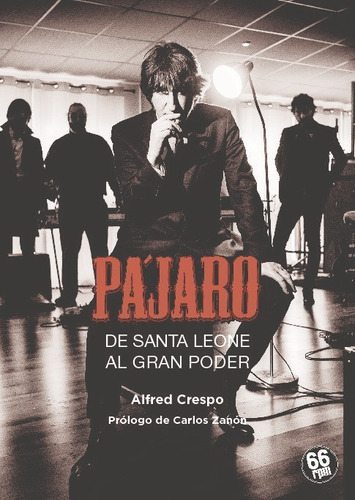 Libro Pajaro De Santa Leone Al Gran Poder - Crespo Andres...