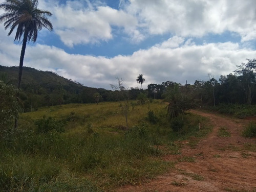 Imagem 3 de 8 de Chácaras De 20.000m2 C/ Lindo Córrego Nos Fundos, Na Região Do Quintas Da Serra, Aos Pés Da Serra Da Piedade, Em Caeté -mg! - Oci0104 - 69586504