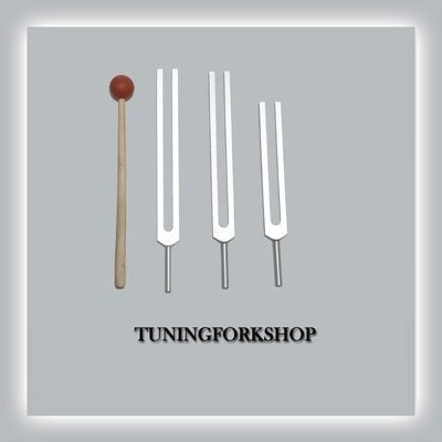 Tfs Tuningforkshop Tenedor De Afinación Para Sanar Con Mazo 