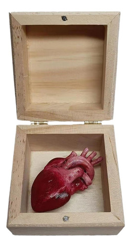 Decoración De Corazón De Órgano Adornos De Corazón Divertido
