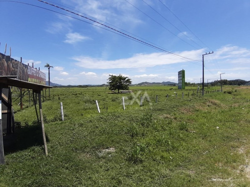 Imagem 8 de 25 de Terreno A Venda Na Br 101, Cidade De Penha (sc) - Exa Imóveis. - 0915