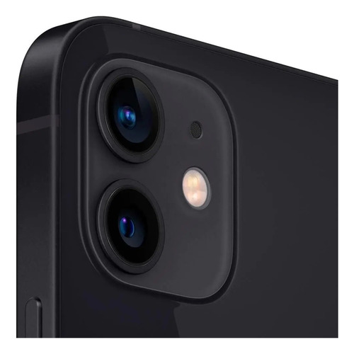 Iphone 12 Pro Grafite (256 Gb) - Usado Grafite (Usado)