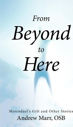 Libro From Beyond To Here : Merendael's Gift And Other St...