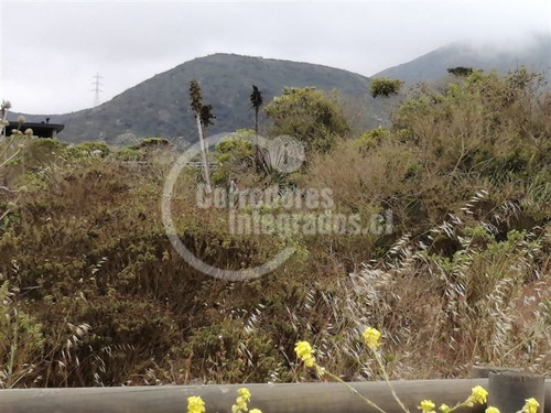 Imagen 9 de 19 de Sitio En Venta En Rocas Del Mar, Los Molles