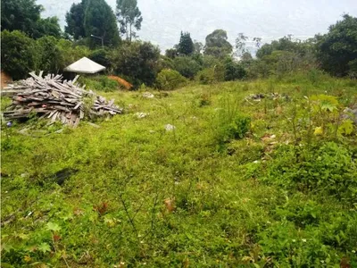 Lote y casalote en venta