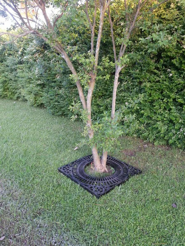 Reja Arbol Alcorques Fundicion De Hierro Jardines Y Parques Negro