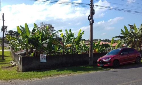 Imagem 1 de 3 de Terreno - Sao Simao - Ref: 33820 - V-33817