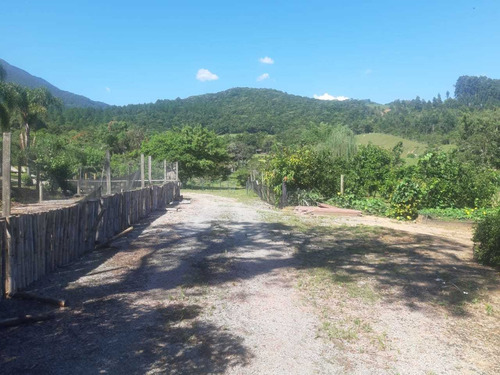 Imagem 10 de 13 de Chácara Em Guarda Do Cubatão, Palhoça/sc De 56m² 3 Quartos À Venda Por R$ 1.700.000,00 - Ch2330854-s