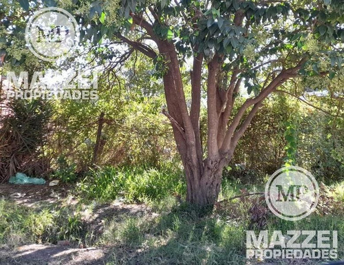 Imagen 3 de 5 de Lote De 200m2