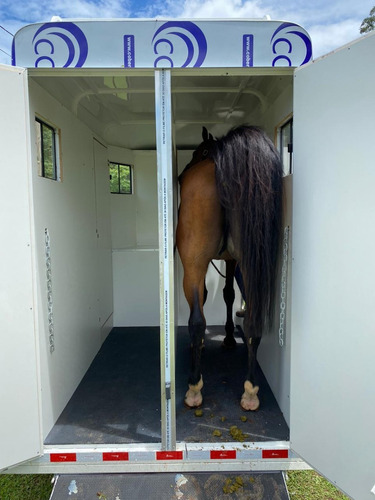 Trailer Carretinha Reboque 2 Cavalos 0km Direto Da Fábrica