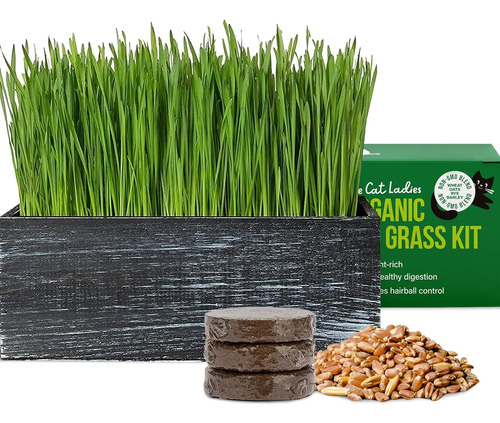 Cat Grass Kit (organic) Complete With Rustic Wood Planter, S