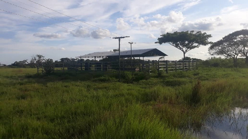 Imagen 12 de 14 de Terreno En Venta En San Fernando De Apure