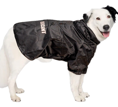 Piloto Tipo Capa Impermeable Perro Lluvia. Talles Grandes