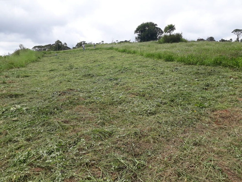 Imagem 2 de 15 de 02-terreno Localizado Em Cotia Com Preço