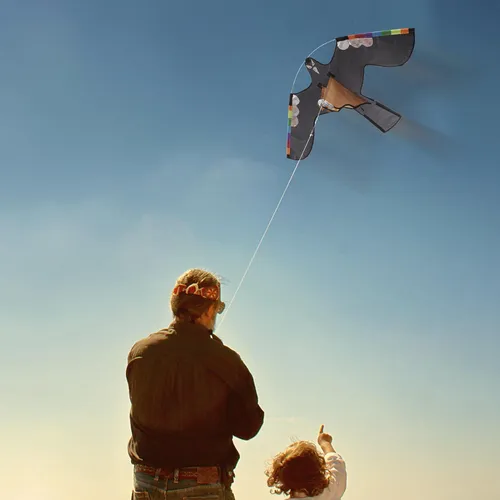 Cometa De Halcón Espantapájaros Cometa Voladora De Halcón De