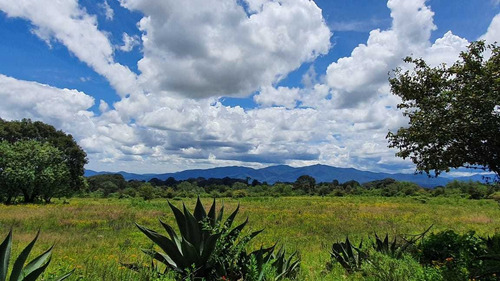 Imagen 6 de 14 de Venta De Rancho En Jilotepec De Molina Enríquez