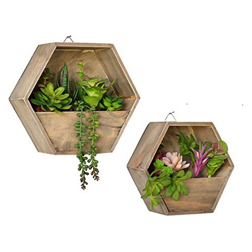 Wood Wall Mounted Decorative Artificial Succulents Plan...