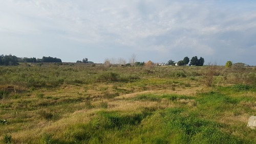 Amplio Terreno De 4,2 Há De 75x570 M. Chacra, Vivienda, Etc.