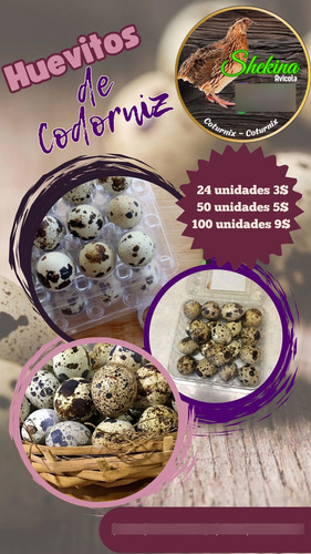 Huevos De Codorniz