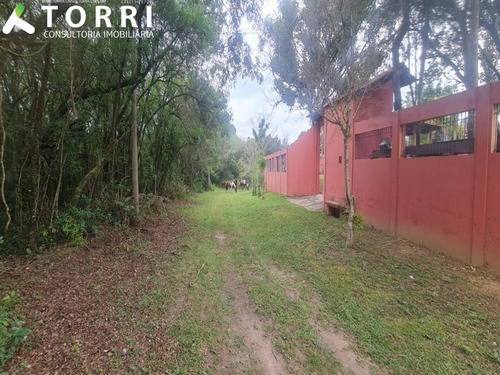 Imagem 28 de 30 de Chácara À Venda No Bairro Camapuã Em Araçoiaba Da Serra/sp - Ch00432 - 70759368
